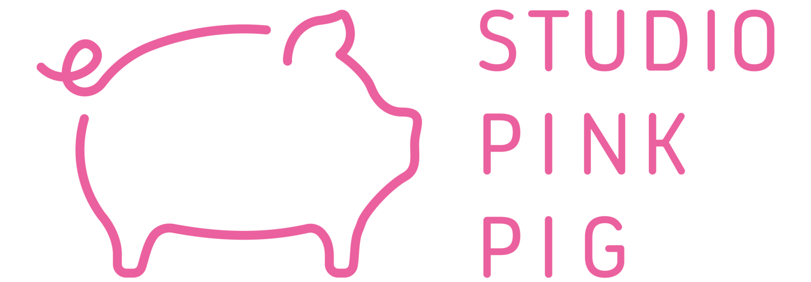 Studio Pink Pig